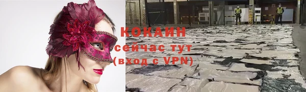 твердый Богородицк