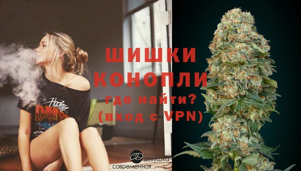 твердый Богородицк