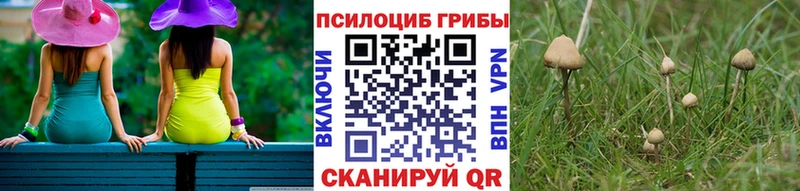Галлюциногенные грибы ЛСД  купить   Шарыпово 